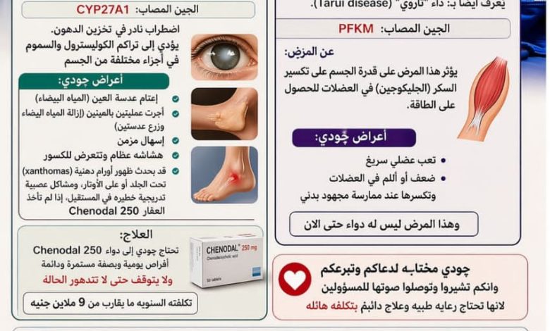 جودي أحمد حسن